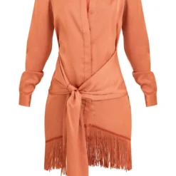 Robe Chemise Satinée Rouille à Détail Drapé Et Ourlet Frangé -Jupe Lumine Soldes Boutique 32895db5653cc9061866928846fc626f57ccd7f5 cnd7686 5