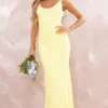 Robe Longue Satinée Jaune Citron à Dos Nu Arrondi